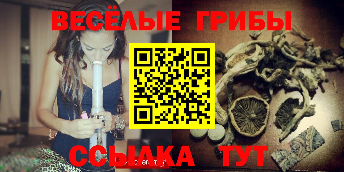 Шарыпово  Псилоцибиновые грибы MAGIC MUSHROOMS  Псилоцибиновые грибы GOLDEN TEACHER  что такое наркотик  Вход с VPN 