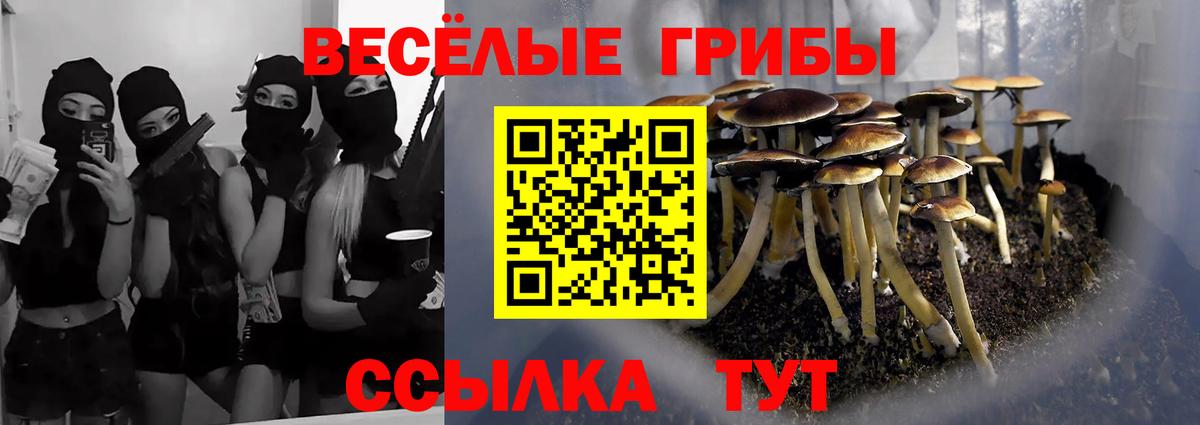 Галлюциногенные грибы ЛСД Шарыпово